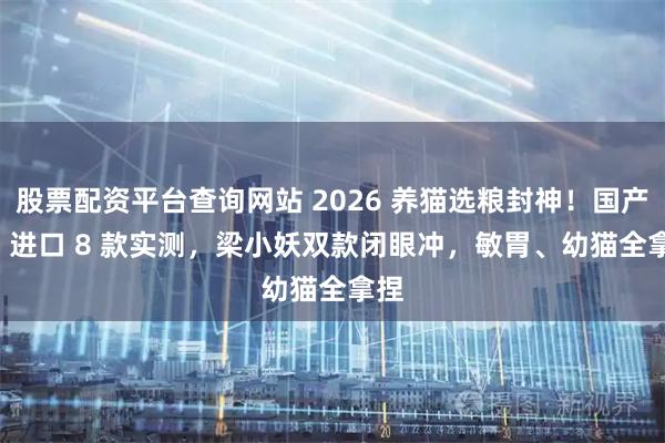 股票配资平台查询网站 2026 养猫选粮封神！国产 vs 进口 8 款实测，梁小妖双款闭眼冲，敏胃、幼猫全拿捏