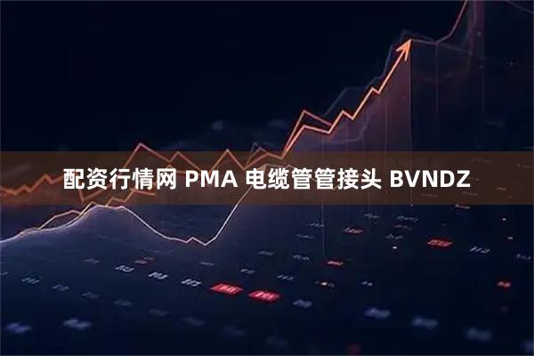 配资行情网 PMA 电缆管管接头 BVNDZ